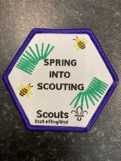 Spring into Scouting