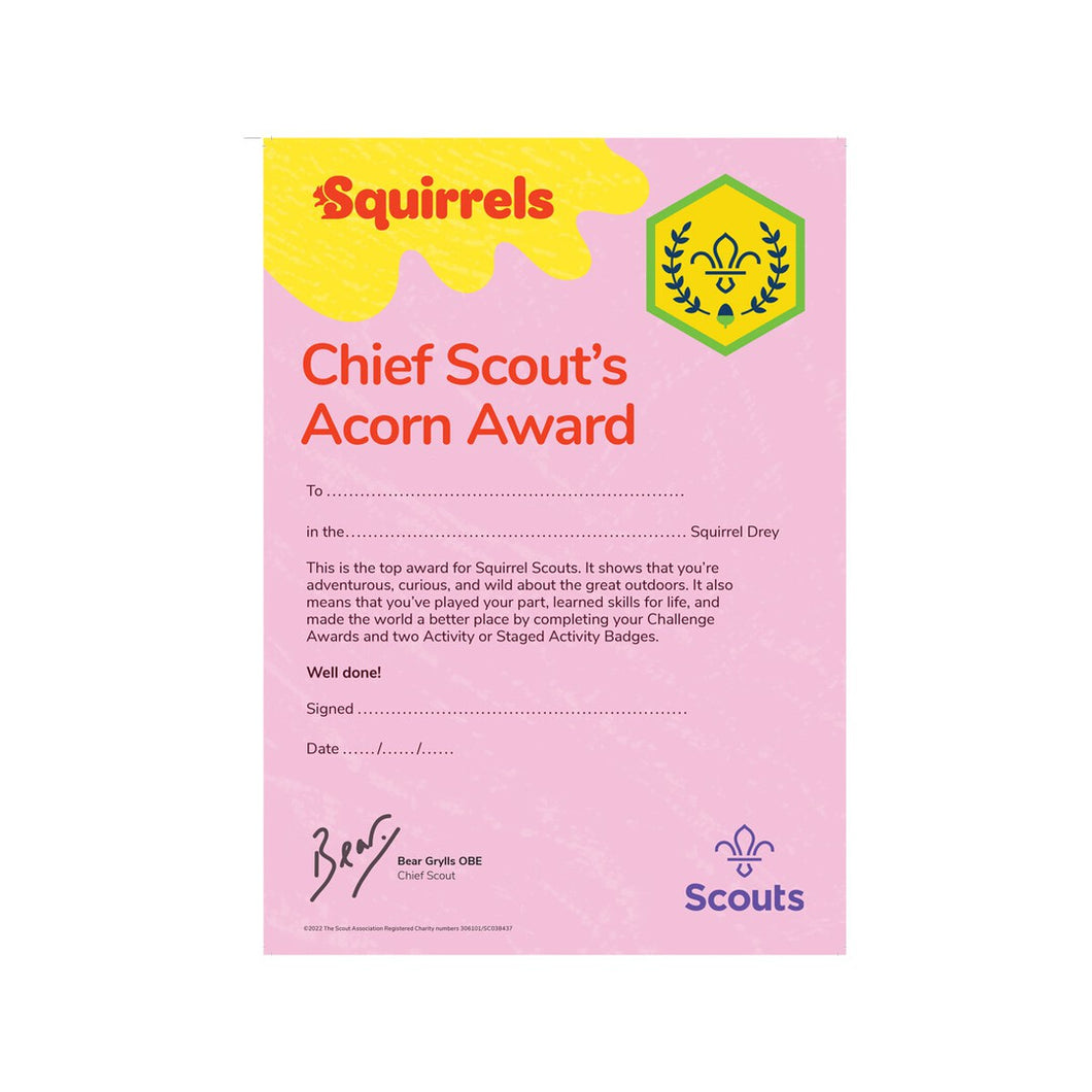 Squirrel Chief Scout Acorn Award Cert