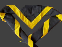Load image into Gallery viewer, Explorer  Scarves
