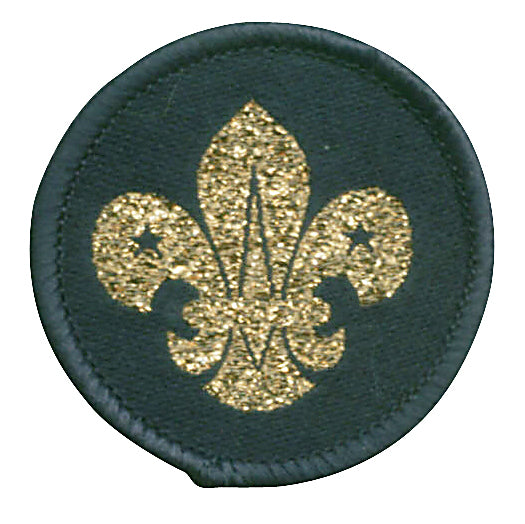 Air Scout Beret Badge Cloth