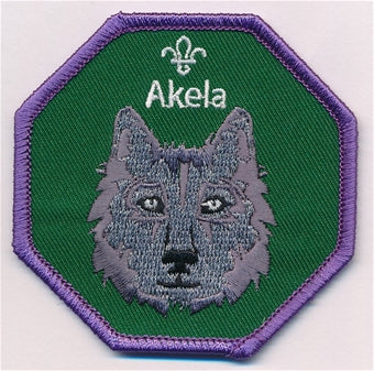 Akela Fun Badge
