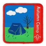 Load image into Gallery viewer, Fleur de Lis Autumn Camp Badge
