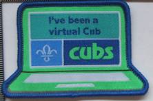 I've Been a Virtual Cub